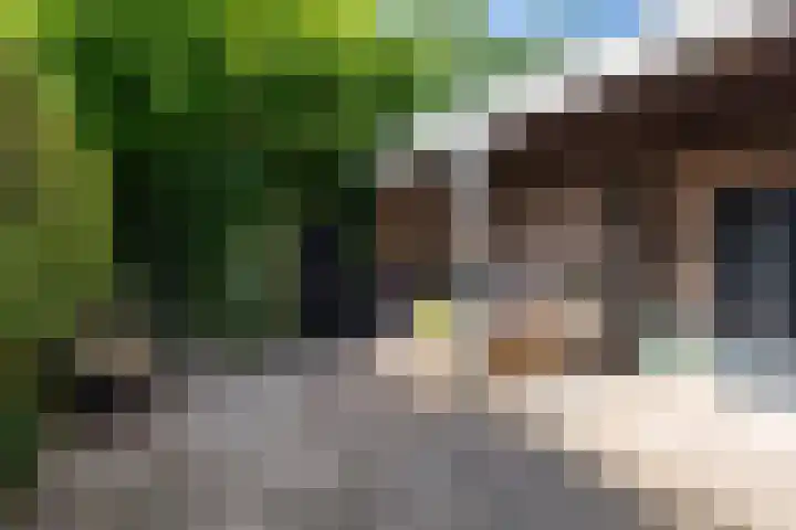 Pelléaspad 1 Amersfoort thumbnail 18