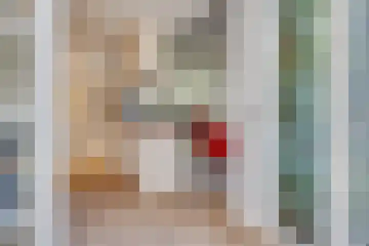 Pelléaspad 1 Amersfoort thumbnail 19
