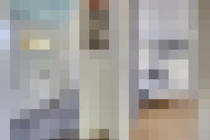 Pelléaspad 1 Amersfoort thumbnail 20