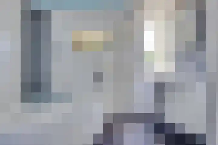 Pelléaspad 1 Amersfoort thumbnail 21