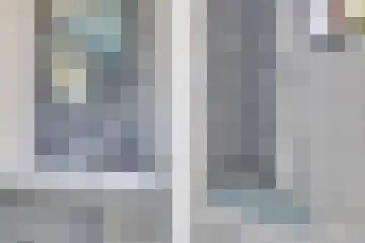 Pelléaspad 1 Amersfoort thumbnail 22