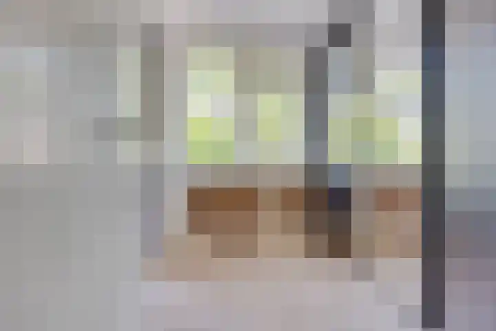 Pelléaspad 1 Amersfoort thumbnail 23