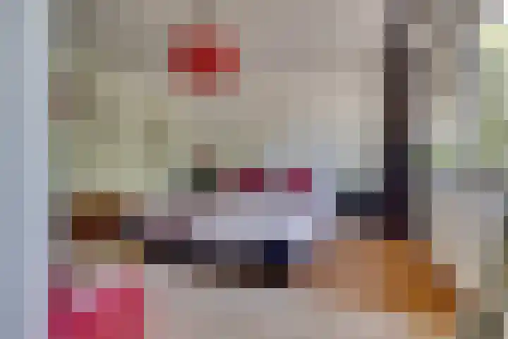 Pelléaspad 1 Amersfoort thumbnail 24