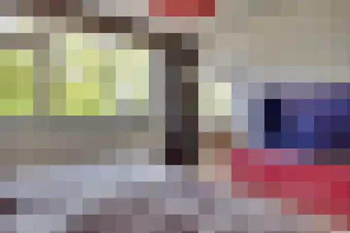Pelléaspad 1 Amersfoort thumbnail 25
