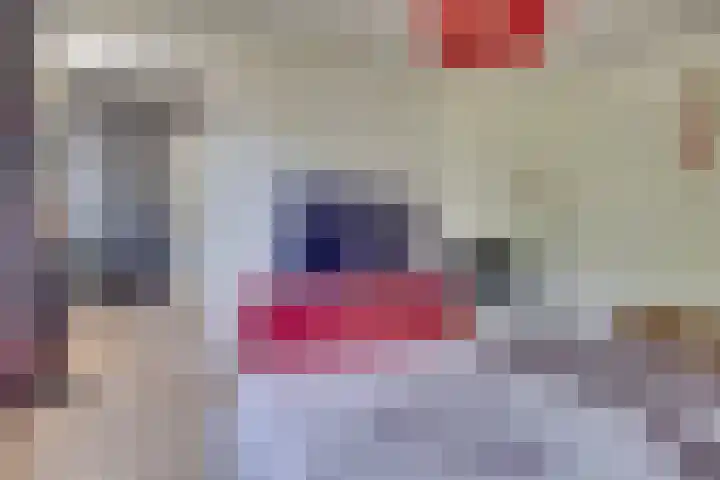 Pelléaspad 1 Amersfoort thumbnail 26