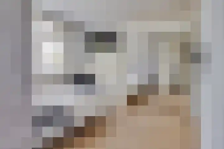 Pelléaspad 1 Amersfoort thumbnail 27