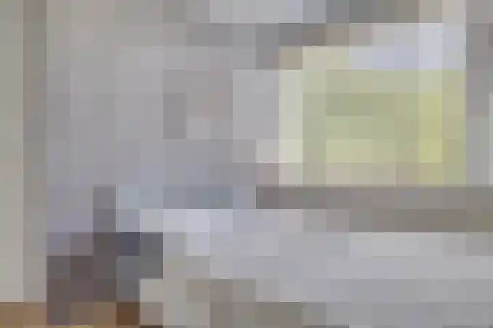 Pelléaspad 1 Amersfoort thumbnail 28