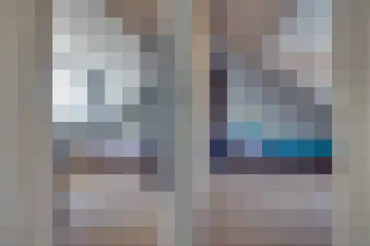 Pelléaspad 1 Amersfoort thumbnail 29