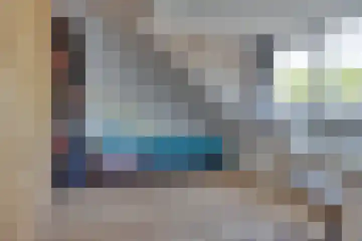 Pelléaspad 1 Amersfoort thumbnail 30