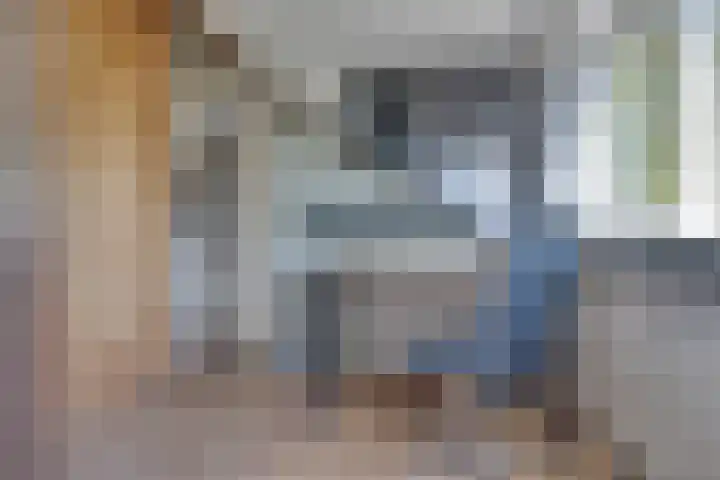 Pelléaspad 1 Amersfoort thumbnail 33