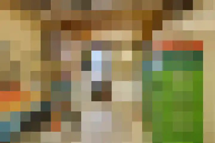 Pelléaspad 1 Amersfoort thumbnail 36