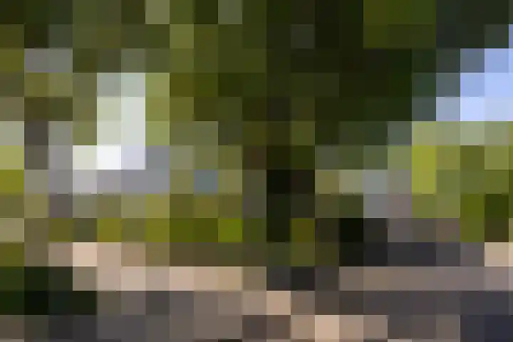 Pelléaspad 1 Amersfoort thumbnail 37