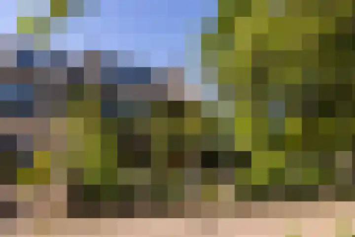 Pelléaspad 1 Amersfoort thumbnail 38
