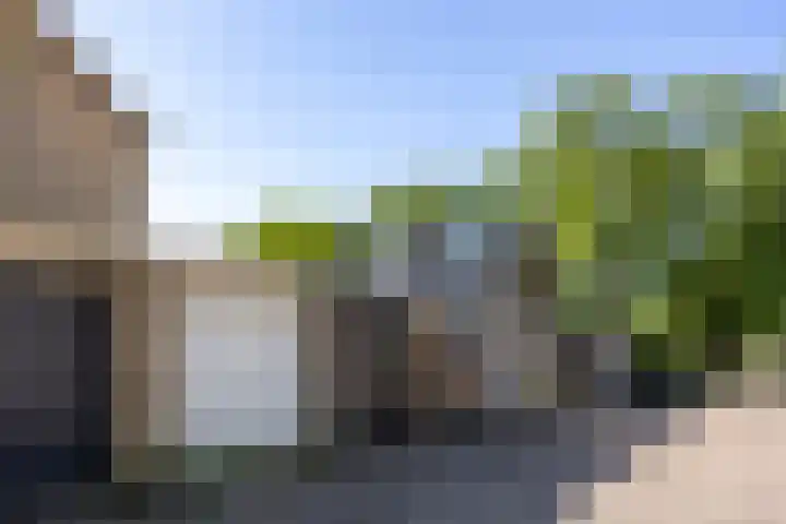 Pelléaspad 1 Amersfoort thumbnail 41