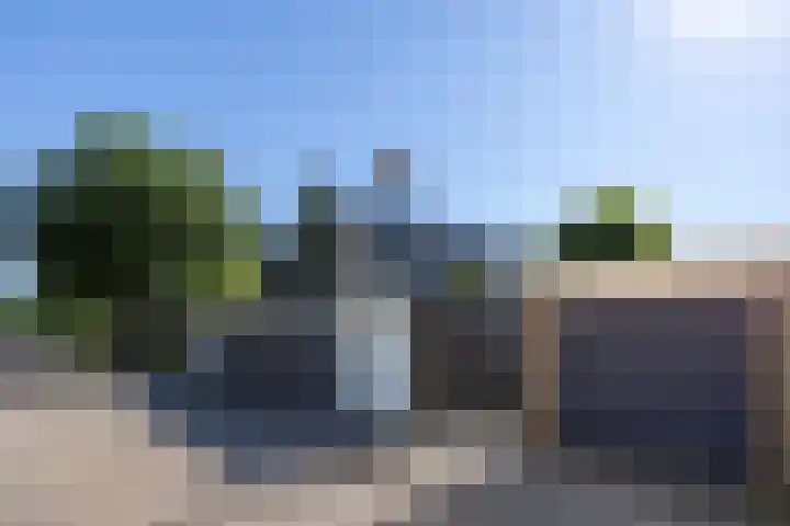 Pelléaspad 1 Amersfoort thumbnail 42