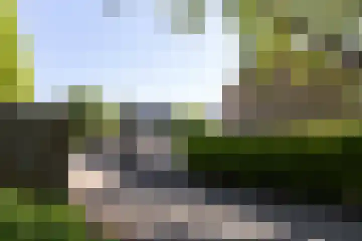 Pelléaspad 1 Amersfoort thumbnail 44