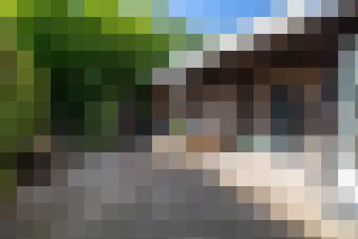 Pelléaspad 1 Amersfoort thumbnail 5