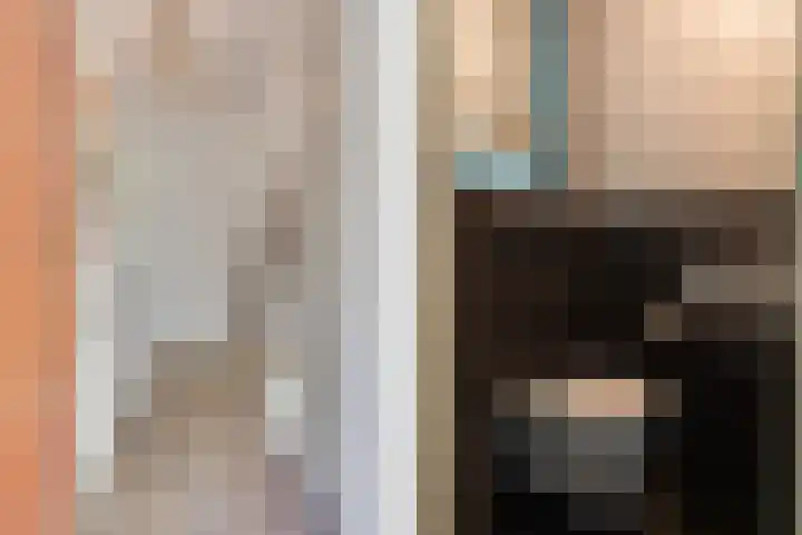 Pelléaspad 1 Amersfoort thumbnail 7