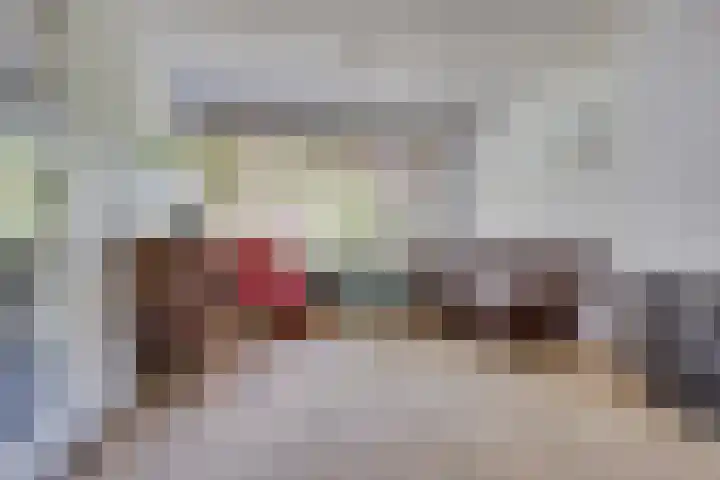 Pelléaspad 1 Amersfoort thumbnail 9