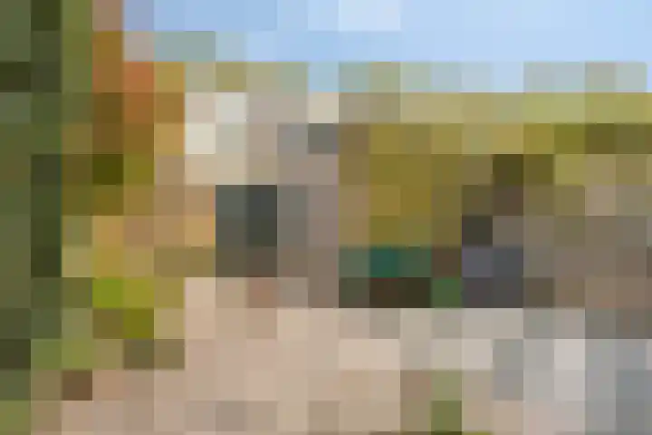 Pelléaspad 11 Amersfoort thumbnail 21