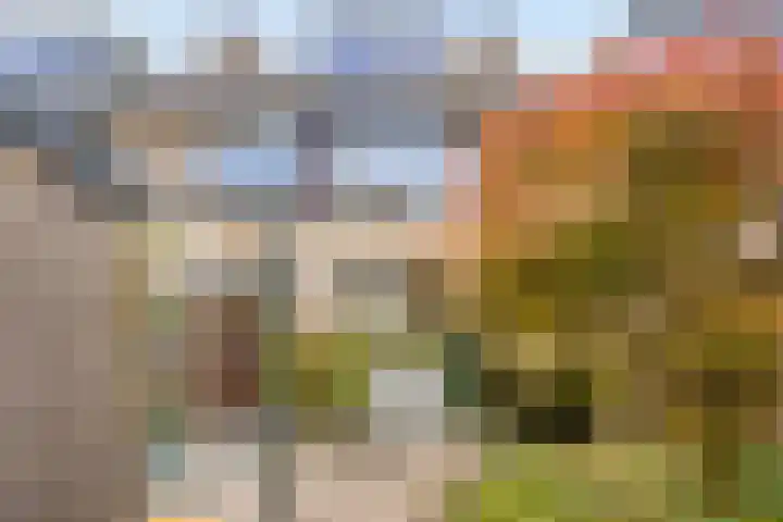Pelléaspad 11 Amersfoort thumbnail 22