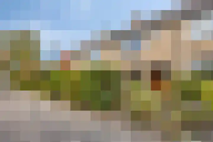 Pelléaspad 11 Amersfoort thumbnail 23