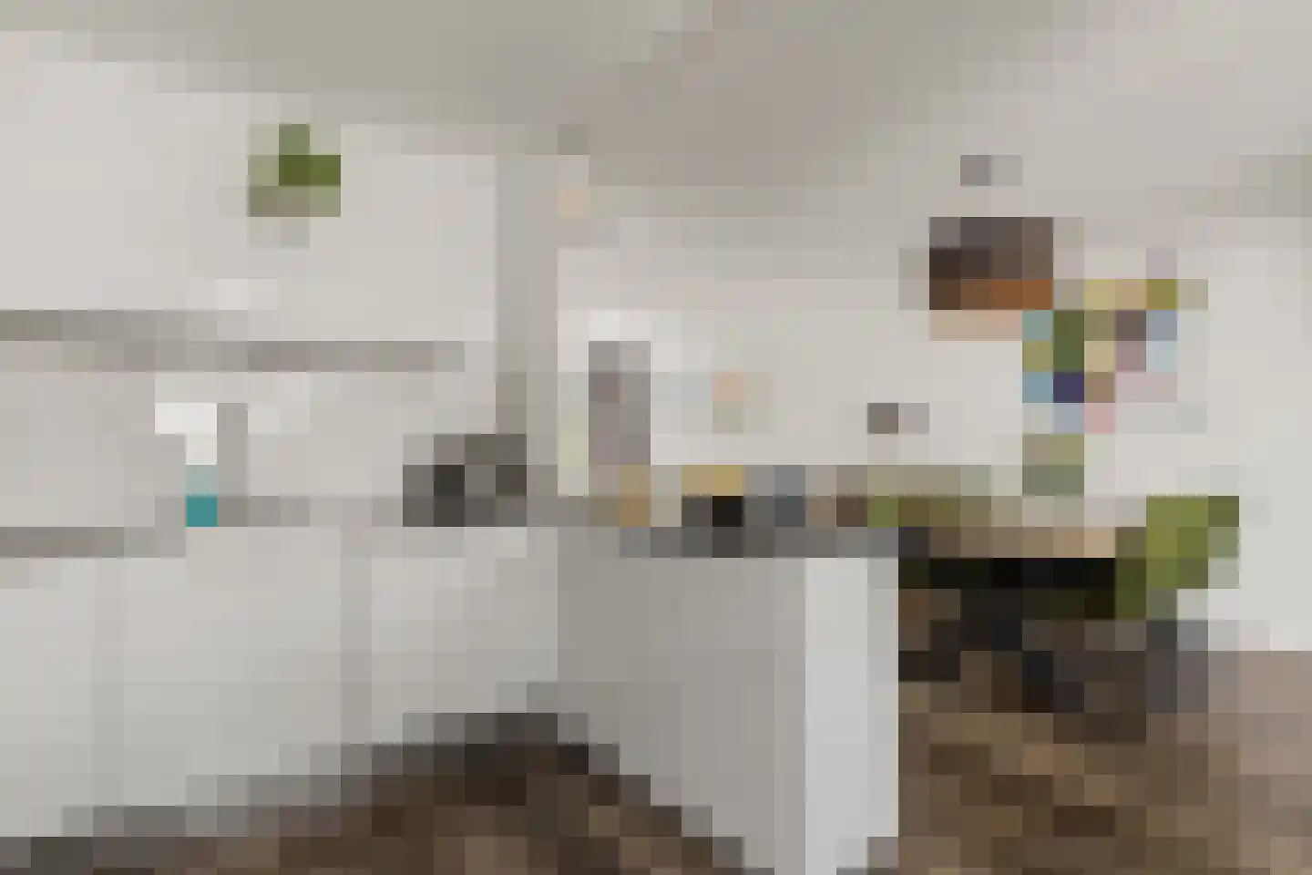 Pelléaspad 7 Amersfoort thumbnail 10