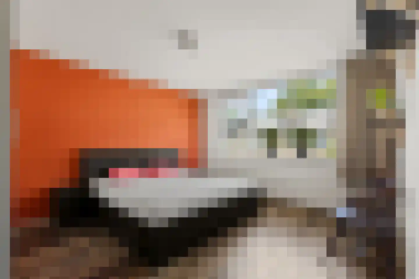 Pelléaspad 7 Amersfoort thumbnail 16
