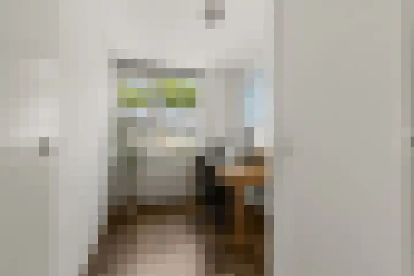 Pelléaspad 7 Amersfoort thumbnail 19
