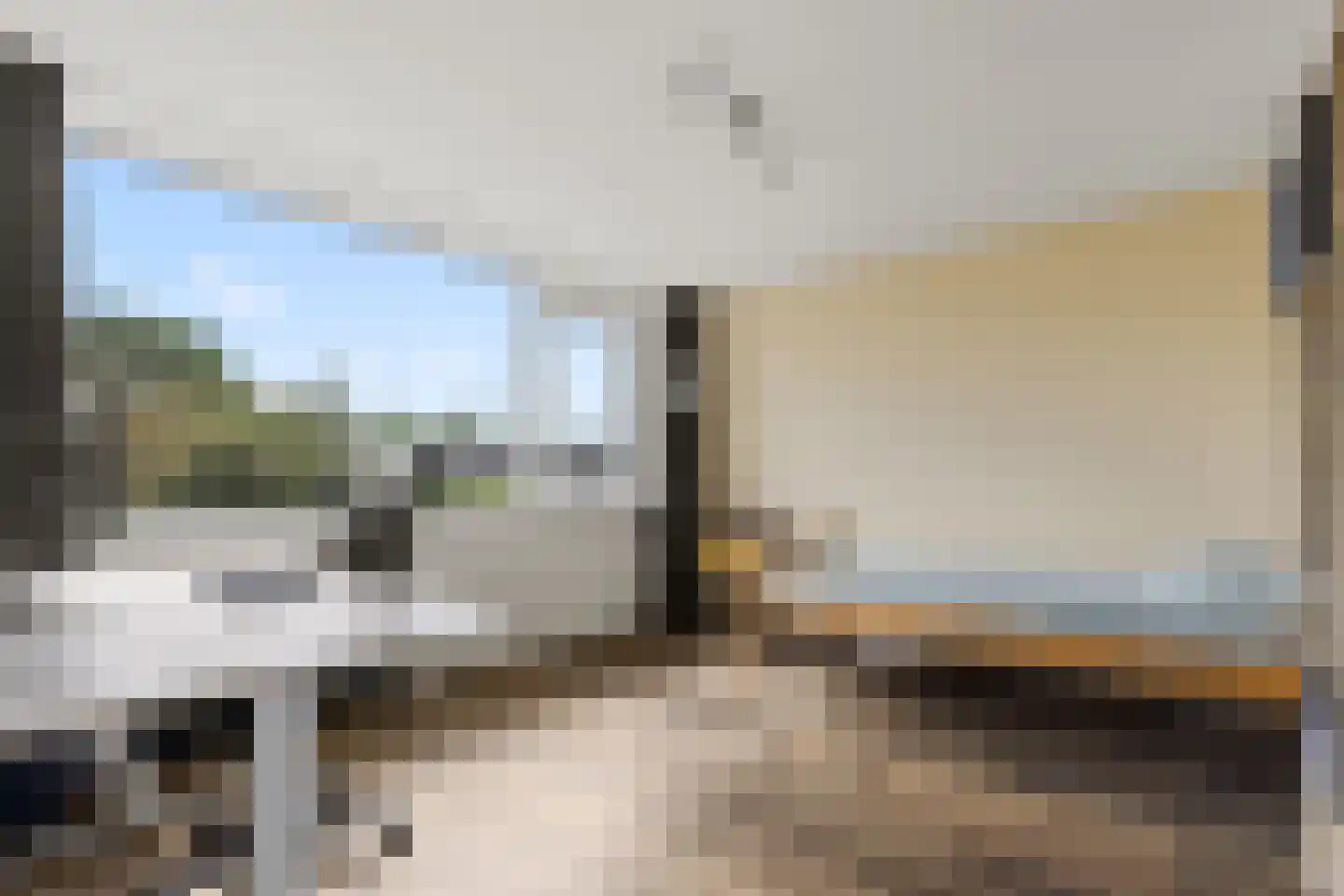 Pelléaspad 7 Amersfoort thumbnail 20