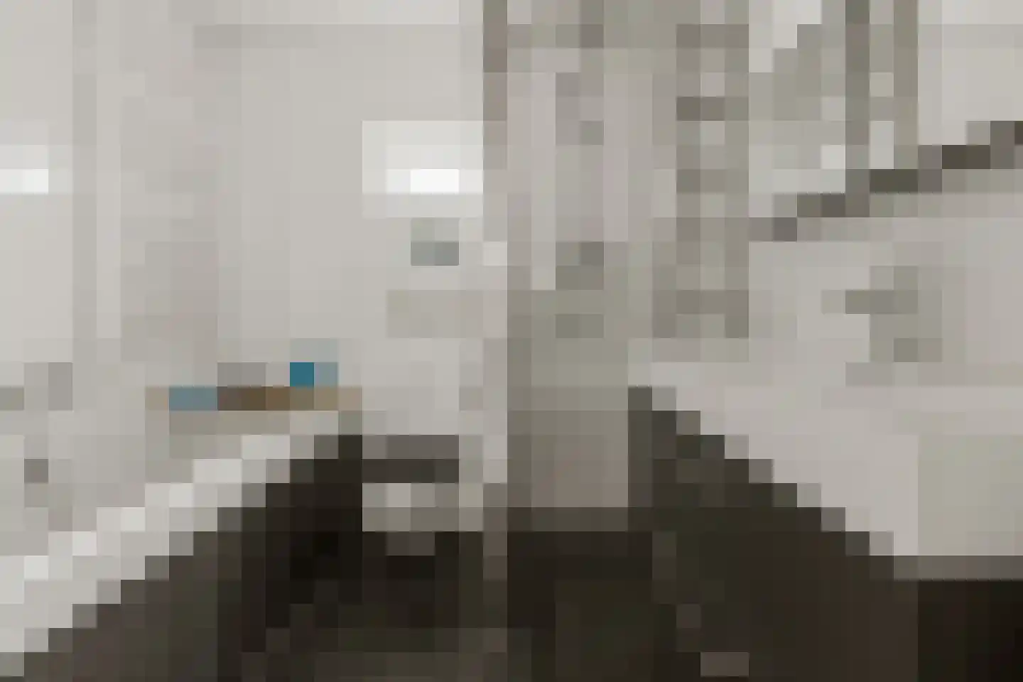 Pelléaspad 7 Amersfoort thumbnail 22