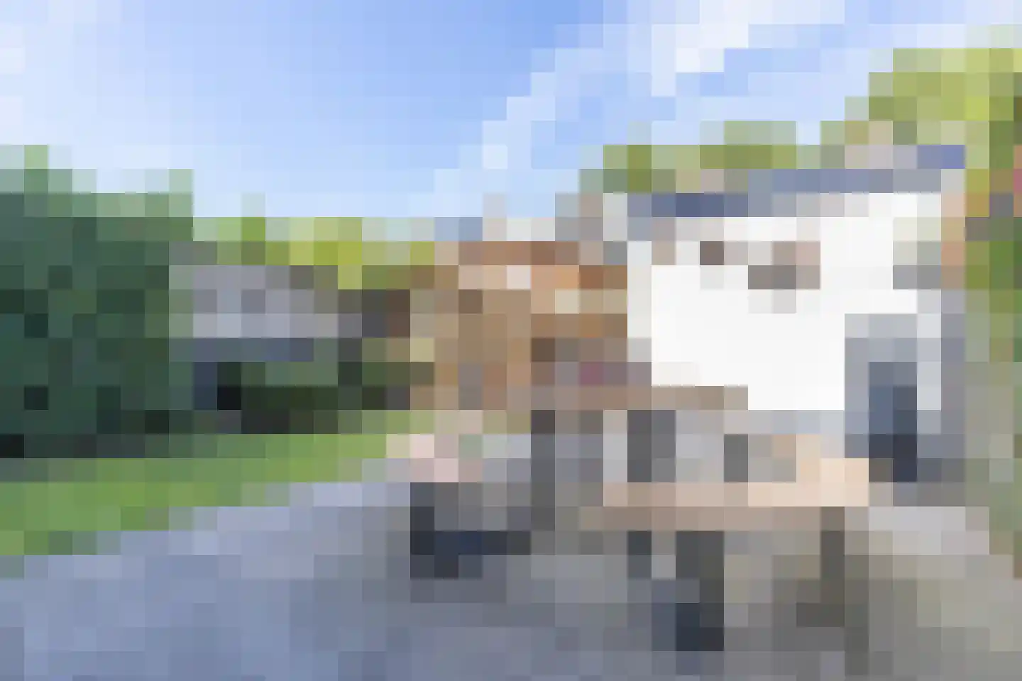 Pelléaspad 7 Amersfoort thumbnail 31