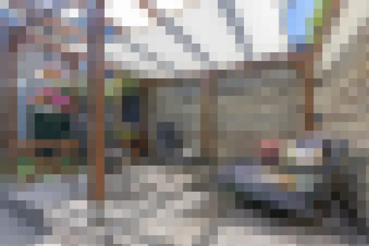 Pelléaspad 7 Amersfoort thumbnail 33