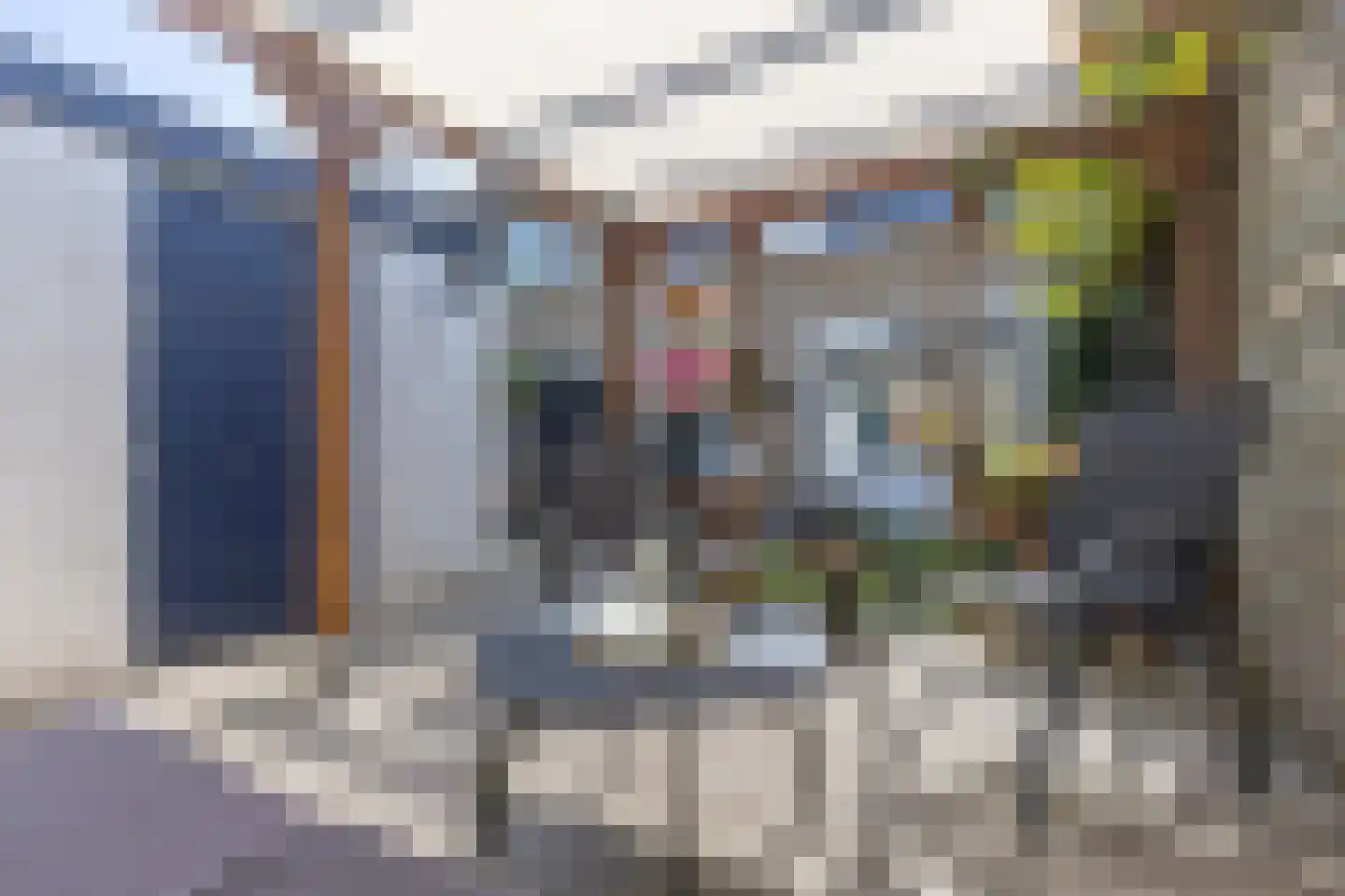 Pelléaspad 7 Amersfoort thumbnail 34