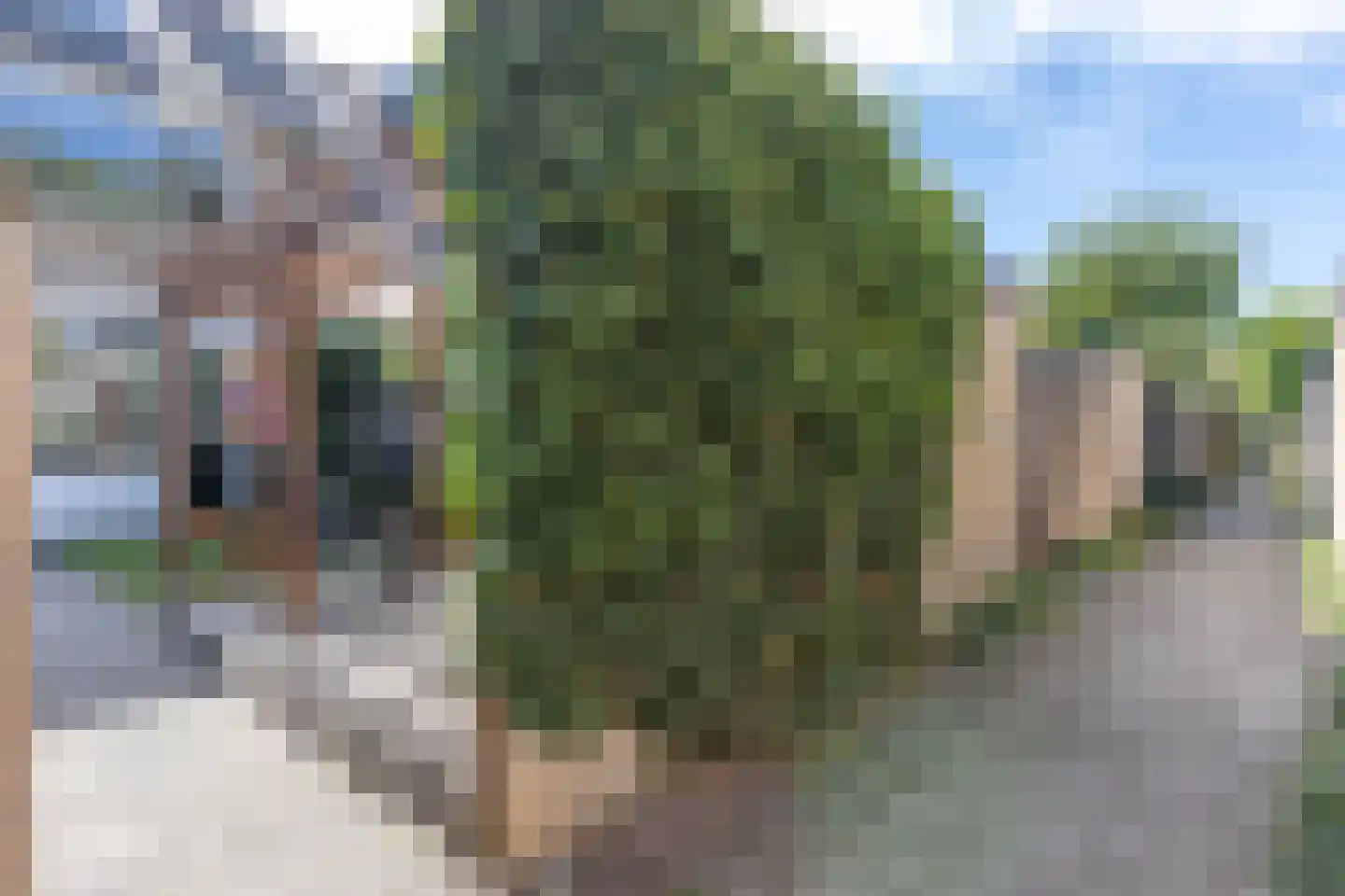 Pelléaspad 7 Amersfoort thumbnail 35