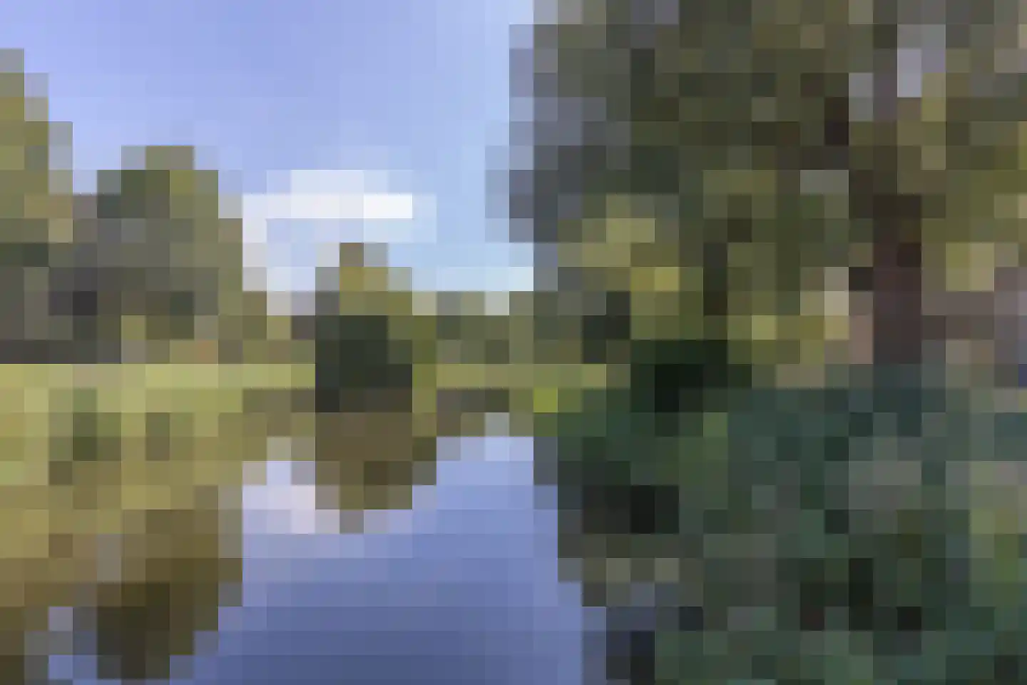 Pelléaspad 7 Amersfoort thumbnail 41