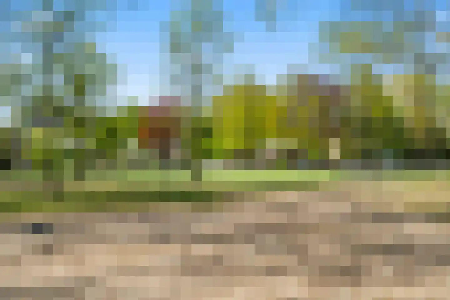 Pelléaspad 7 Amersfoort thumbnail 42