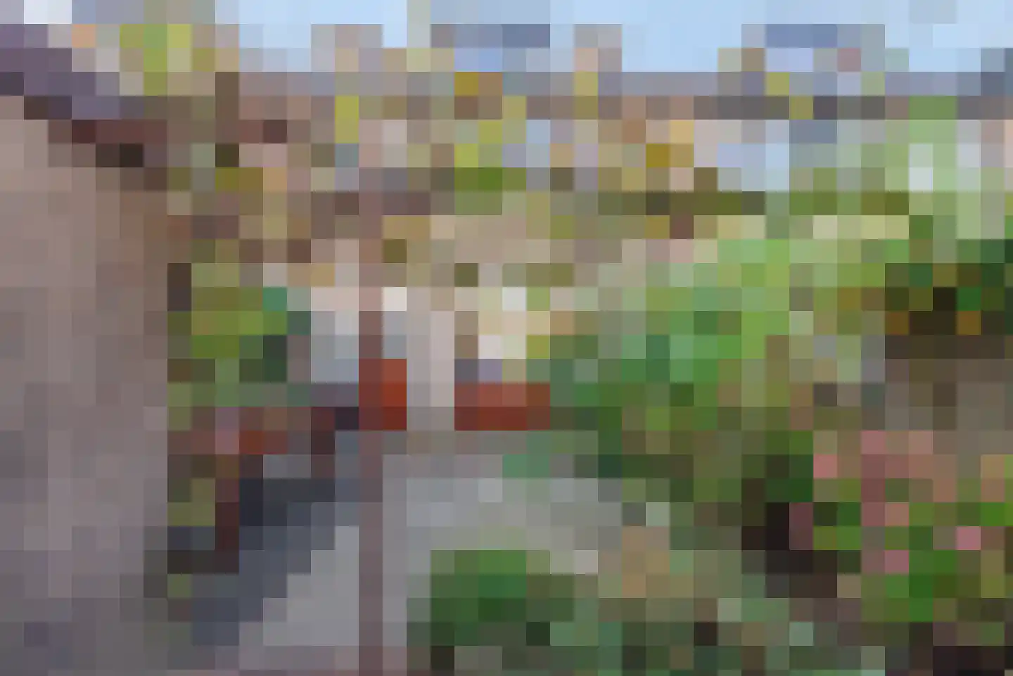 Pelléaspad 9 Amersfoort thumbnail 36