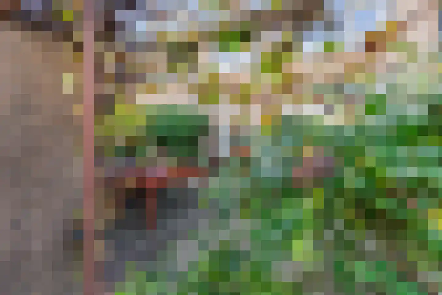 Pelléaspad 9 Amersfoort thumbnail 37