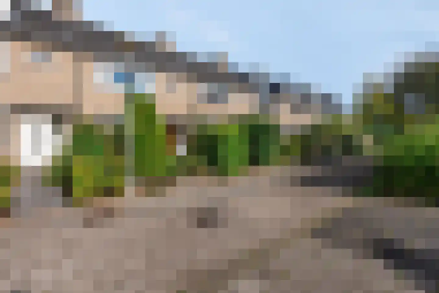 Pelléaspad 9 Amersfoort thumbnail 8