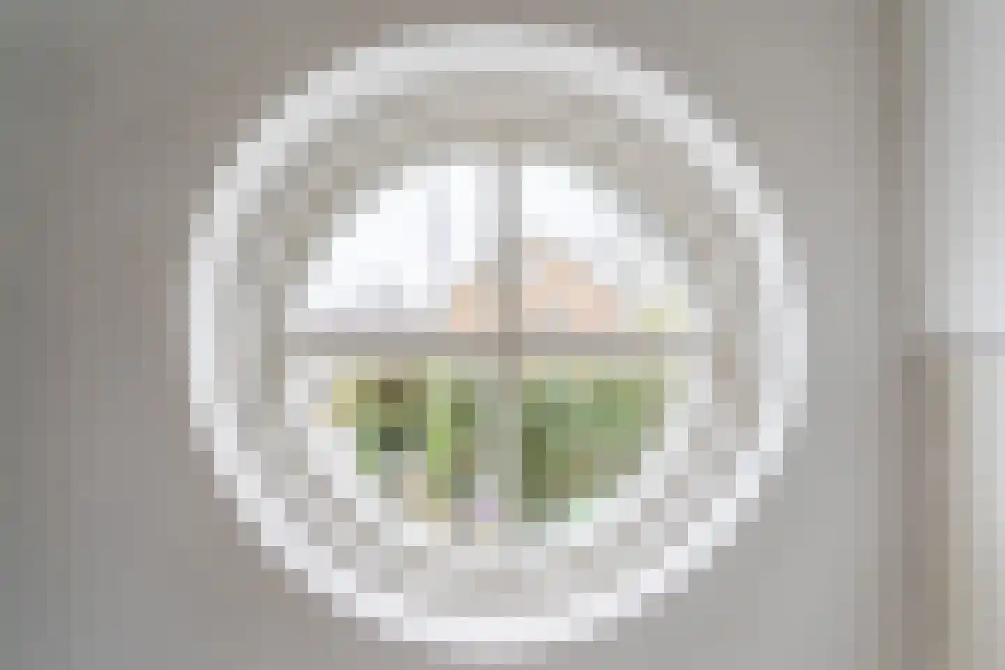 Pellekaanstraat 12 Koog aan de Zaan thumbnail 10