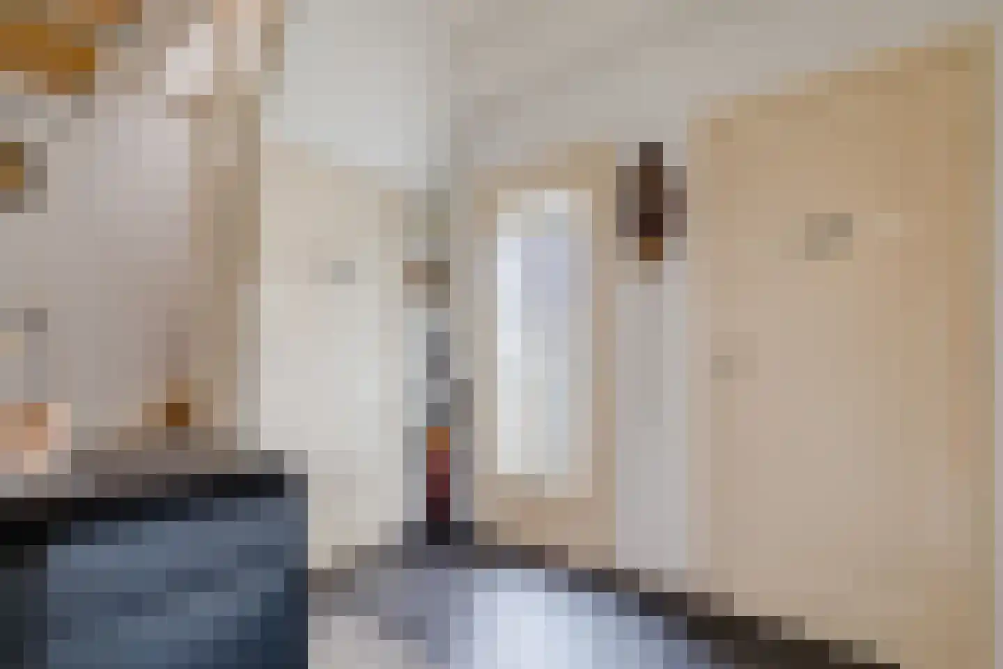 Pellekaanstraat 12 Koog aan de Zaan thumbnail 11