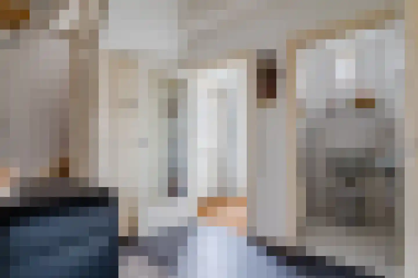 Pellekaanstraat 12 Koog aan de Zaan thumbnail 12
