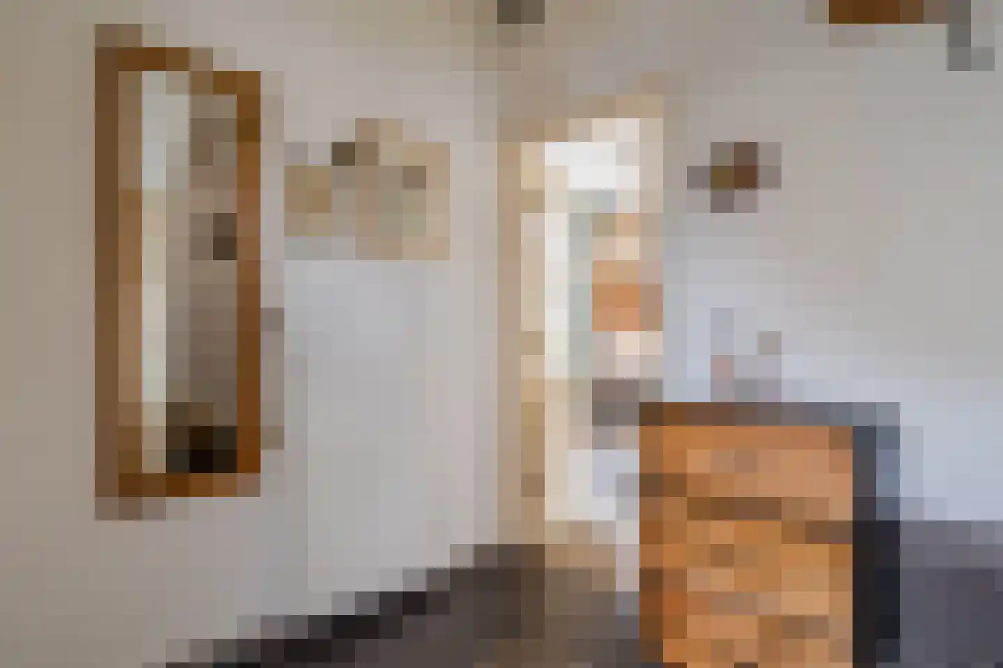 Pellekaanstraat 12 Koog aan de Zaan thumbnail 13
