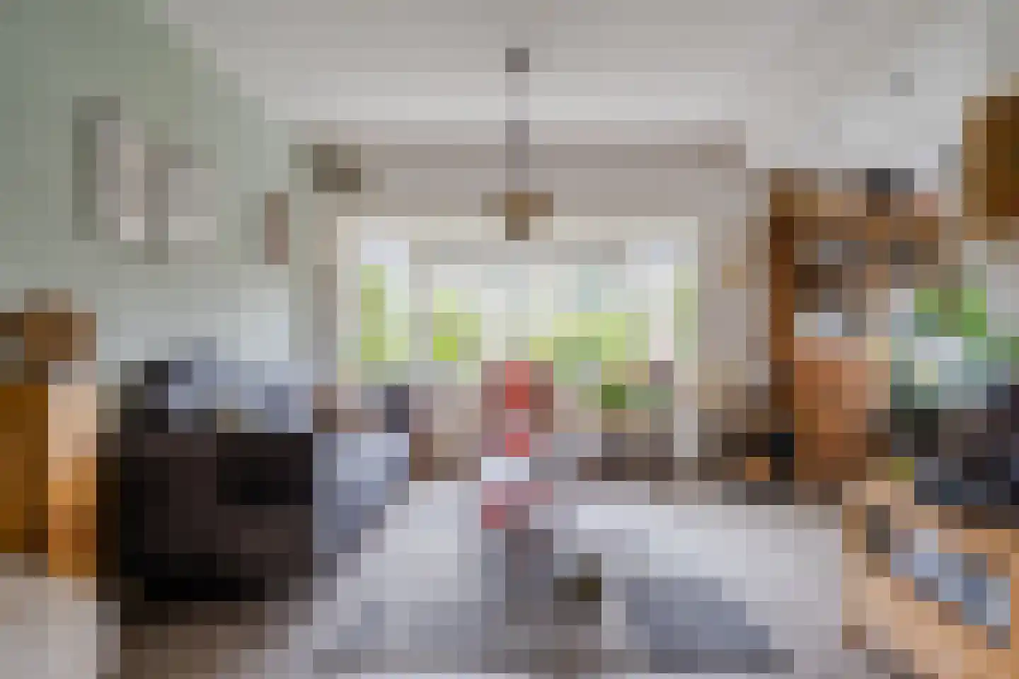 Pellekaanstraat 12 Koog aan de Zaan thumbnail 14