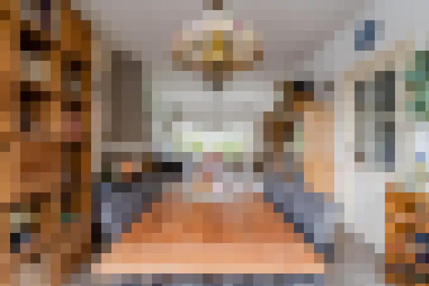 Pellekaanstraat 12 Koog aan de Zaan thumbnail 21
