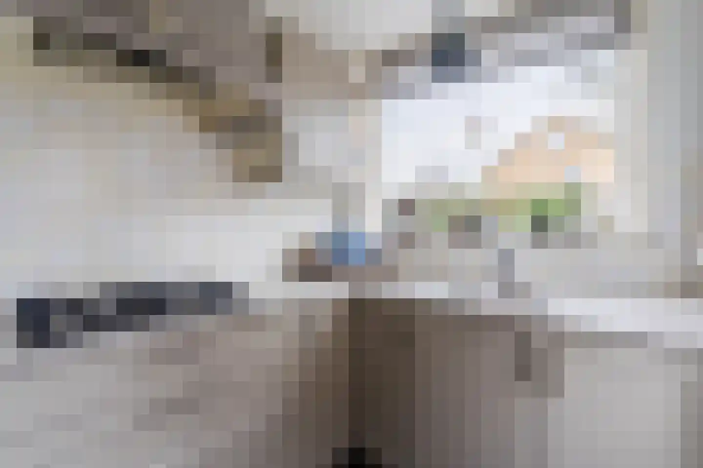 Pellekaanstraat 12 Koog aan de Zaan thumbnail 22
