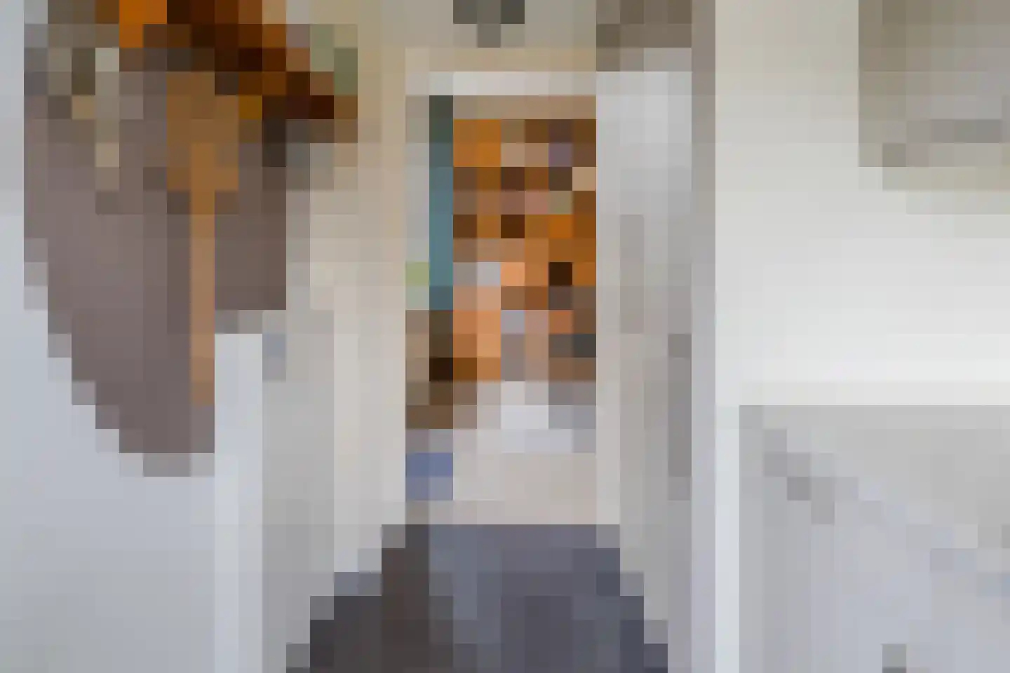Pellekaanstraat 12 Koog aan de Zaan thumbnail 24