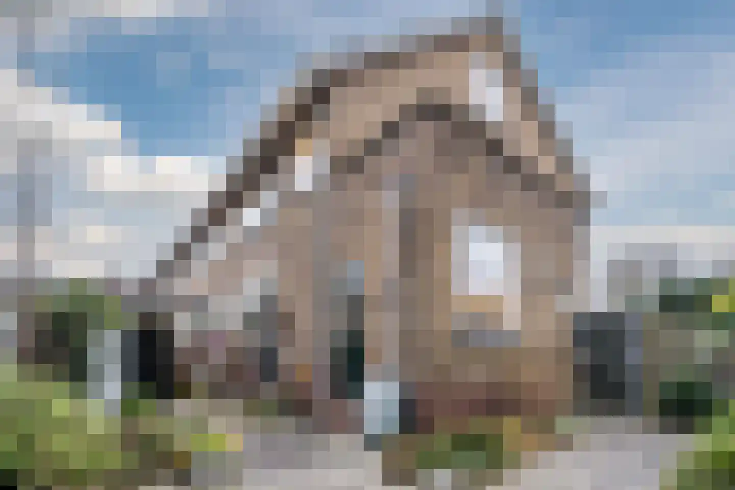 Pellekaanstraat 12 Koog aan de Zaan thumbnail 4
