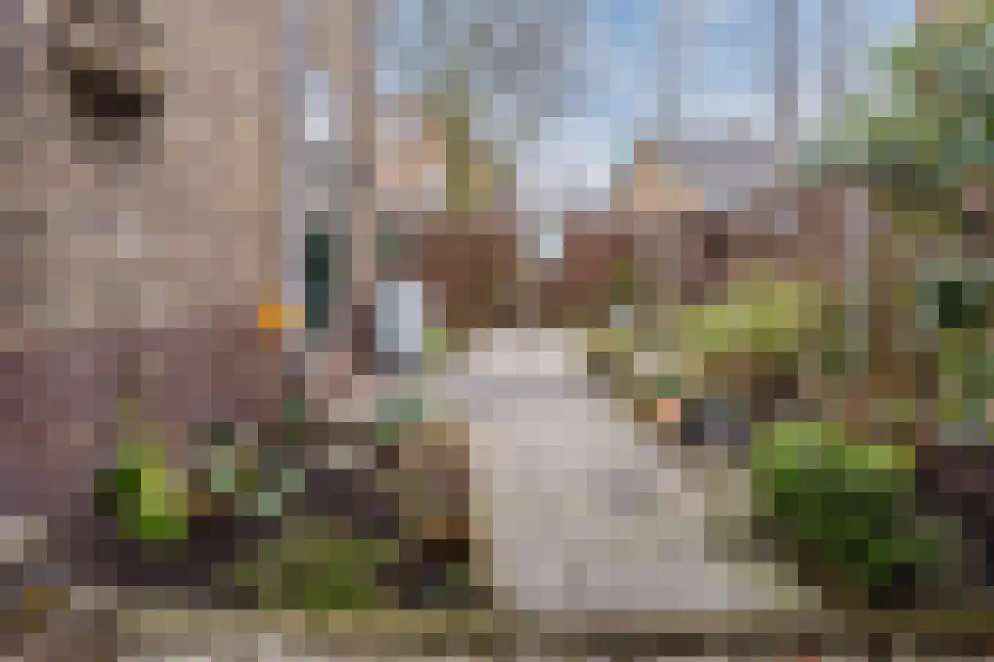 Pellekaanstraat 12 Koog aan de Zaan thumbnail 43